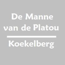 mannevandeplatou_platoo mannevandeplatou_platoo